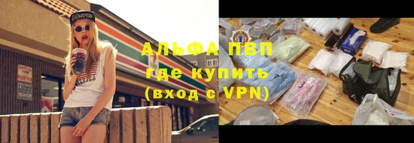 apvp Гатчина