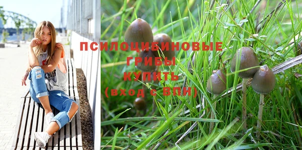 стаф Лиски