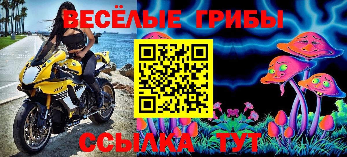 Псилоцибиновые грибы прущие грибы Канаш