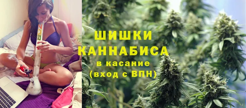 Бошки марихуана Ganja  Канаш 