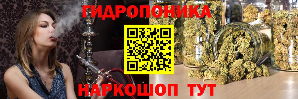 Лсд 25 Канаш